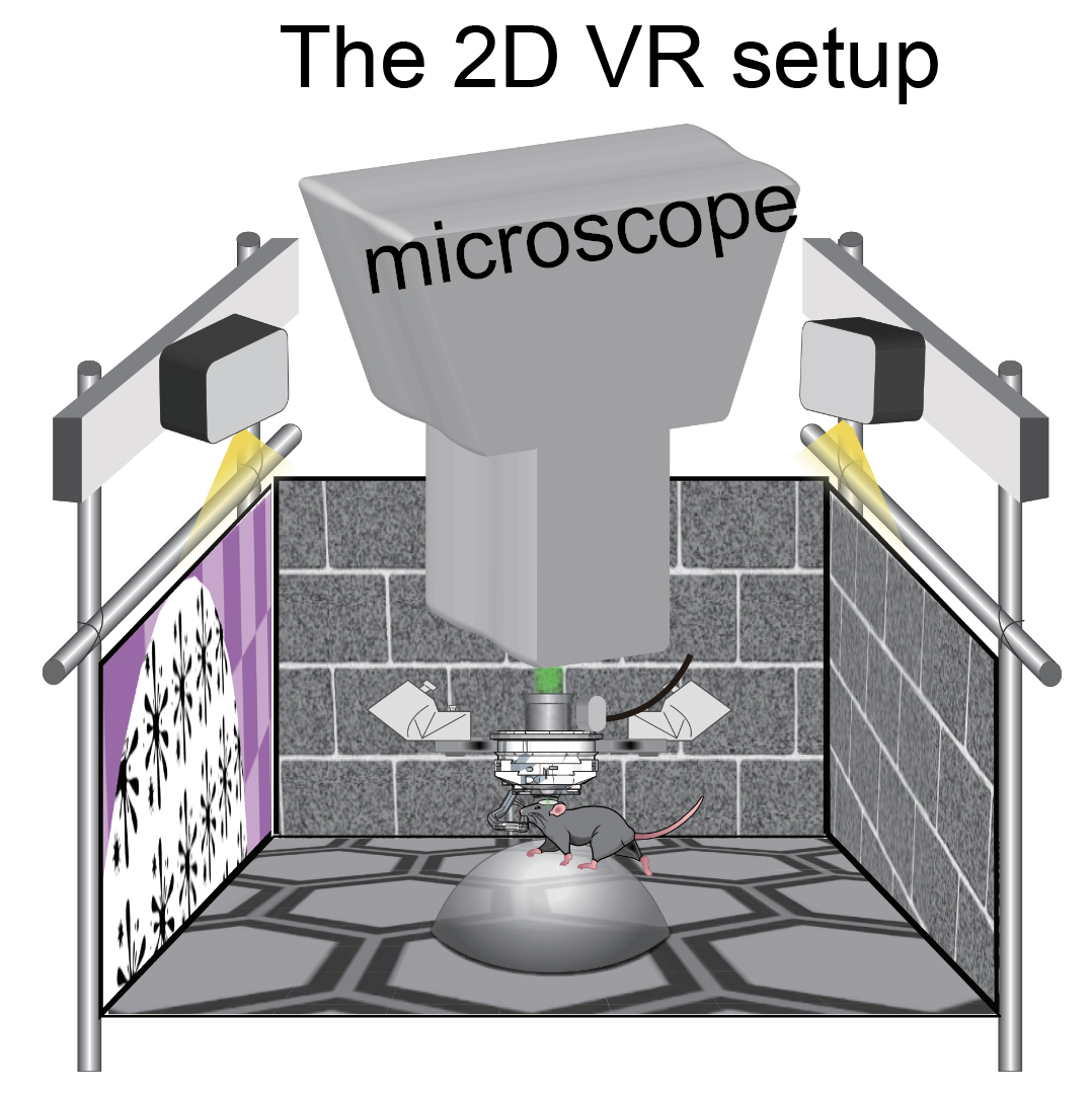 2D virtual reality setup