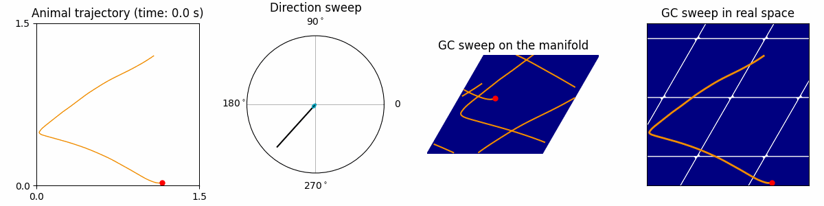 Grid cell sweeps